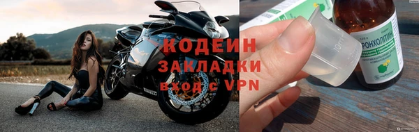 хмурый Магас