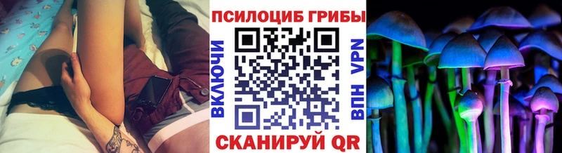 Псилоцибиновые грибы MAGIC MUSHROOMS  Валдай 